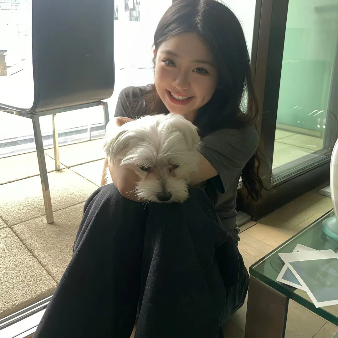 美人追